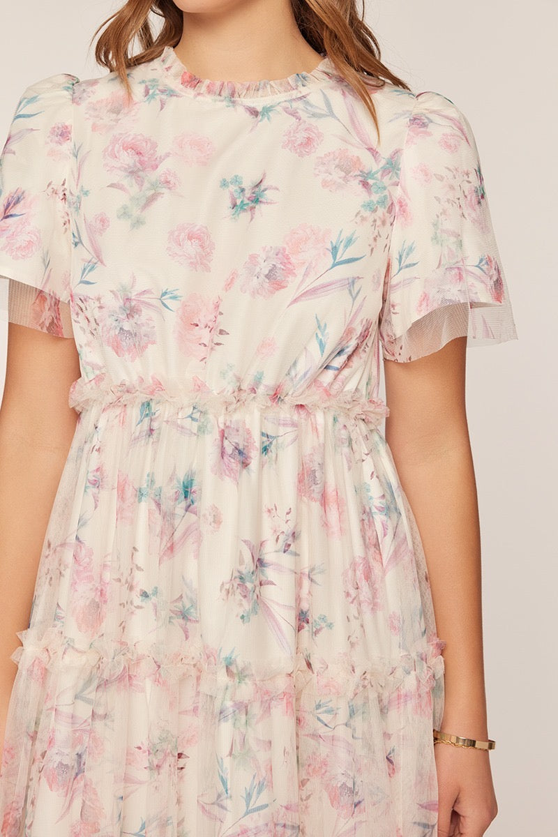 Dress amor